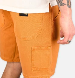 STAN RAY USA Shorts*Painter Short Driftwood Duck