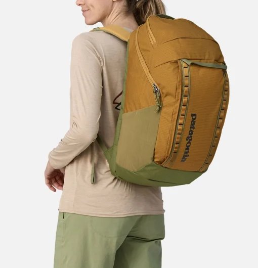 PATAGONIA ACCESSORIES Sacs À Dos*Sac Black Hole Pack 32l Fishgo